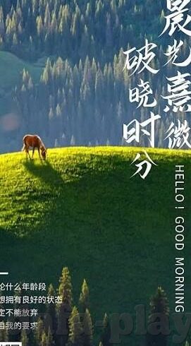 足球甲级比分-足球甲级风云，比分背后的激情与策略交响曲