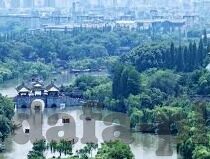 足球让平比分怎么-足球让平比分，一场智慧与运气的博弈解析