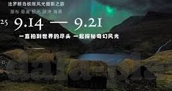 足球实时比分球探网-探秘足球实时比分球探网，球迷的智慧导航站