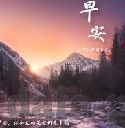 足球亚冠比分-亚冠风云，从比分背后看亚洲足球格局的变迁与挑战